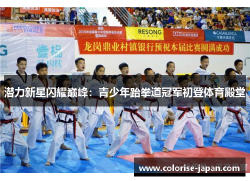 潜力新星闪耀巅峰：青少年跆拳道冠军初登体育殿堂